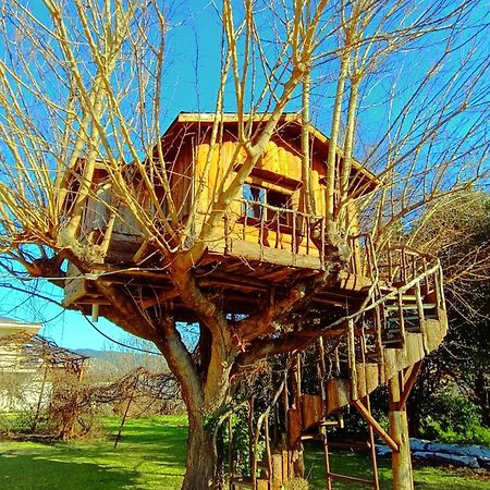 Apartamento Το Πέτρινο Σπιτάκι Tríkala Exterior foto